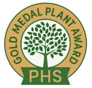 Plant Haven