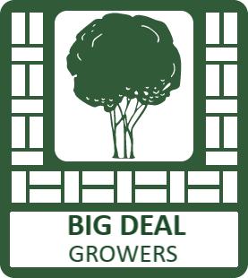 Our Sister Companies
